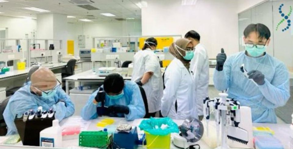 Arcadia scientists in lab coats and masks pipetting at the bench
